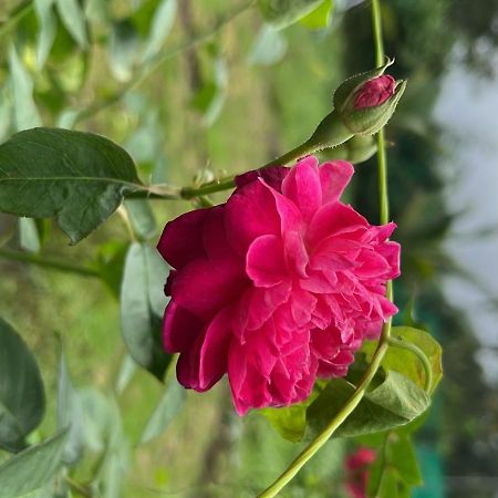 Chaitanya Farms Karjat Kültér fotó